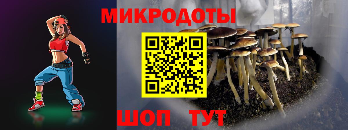 как найти закладки  Вход с VPN  Нарткала  Псилоцибиновые грибы Psilocybine cubensis  Галлюциногенные грибы Psilocybe 