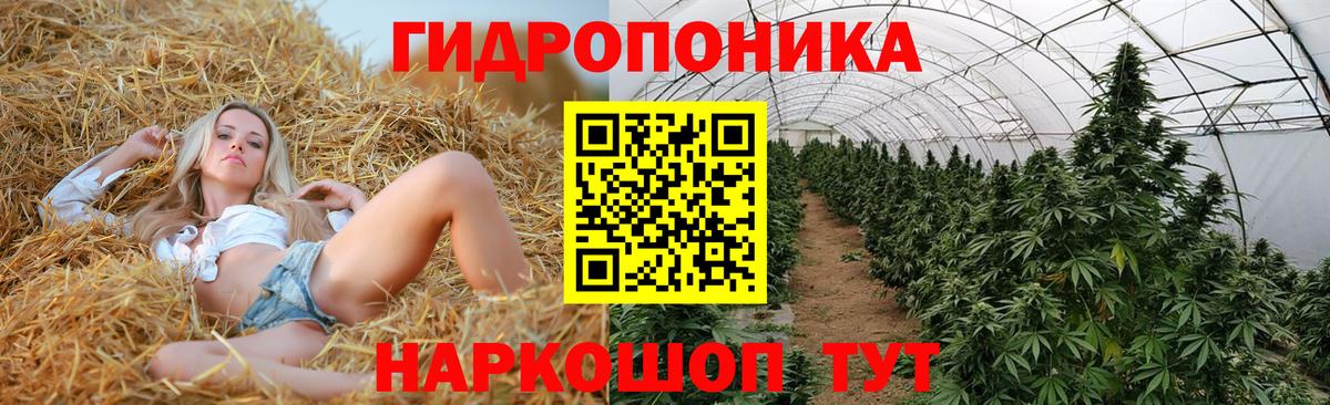 Конопля план Нарткала